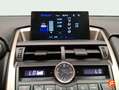 Lexus NX 300 300h Business 2WD Negro - thumbnail 21