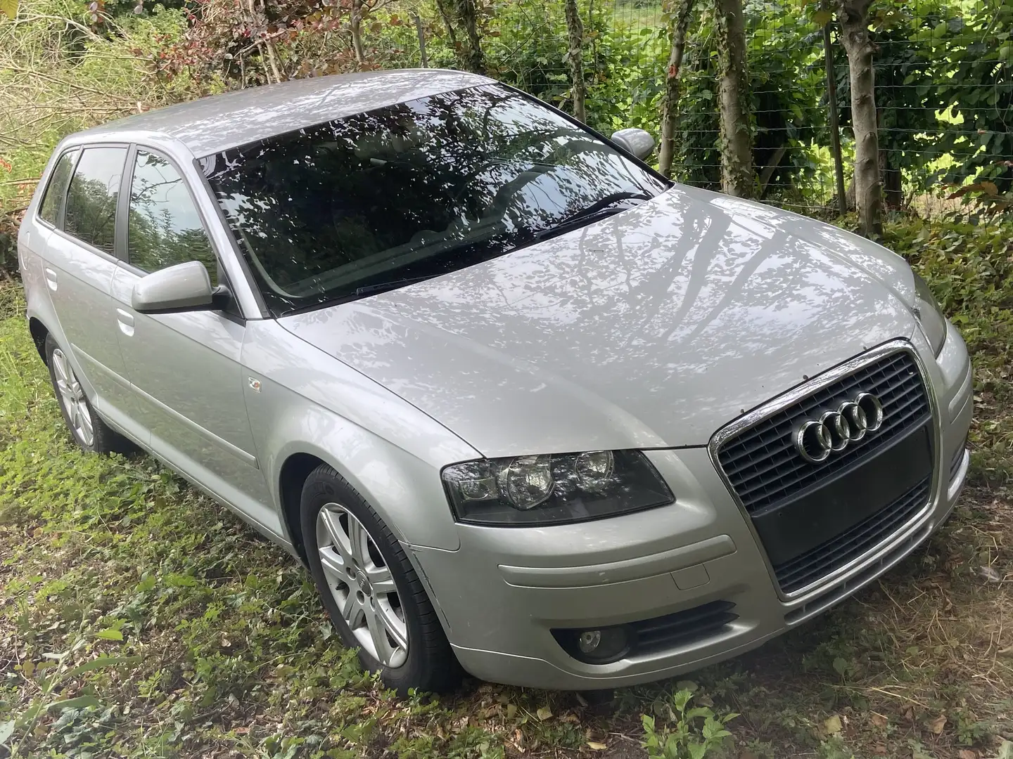 Audi A3 Sportback 1.9 TDi Ambiente - 1
