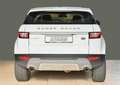 Land Rover Range Rover Evoque TD4 SE AWD Navi Leder Head-up Klimaautomatik Blanco - thumbnail 4