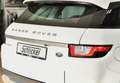 Land Rover Range Rover Evoque TD4 SE AWD Navi Leder Head-up Klimaautomatik bijela - thumbnail 7