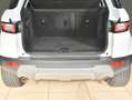 Land Rover Range Rover Evoque TD4 SE AWD Navi Leder Head-up Klimaautomatik Bianco - thumbnail 5