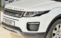 Land Rover Range Rover Evoque TD4 SE AWD Navi Leder Head-up Klimaautomatik Bianco - thumbnail 2