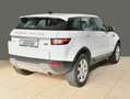 Land Rover Range Rover Evoque TD4 SE AWD Navi Leder Head-up Klimaautomatik Biały - thumbnail 6