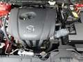 Mazda CX-3 SKY-G121 Sports-Line  Voll-LED/BSM/SHZ/Klima/Navi/ Rot - thumbnail 12