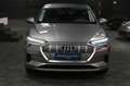 Audi e-tron Sportback 50 quattro advanced DAB Luft 20 Grau - thumbnail 28