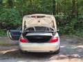 Mercedes-Benz SLK 200 SLK 200 (BlueEFFICIENCY) 7G-TRONIC Grau - thumbnail 5