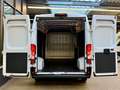 Fiat Ducato 2.2 D L4H2 3,5t KLIMA CAM PDC 3-SITZER Weiß - thumbnail 10