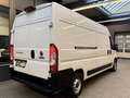 Fiat Ducato 2.2 D L4H2 3,5t KLIMA CAM PDC 3-SITZER Weiß - thumbnail 12