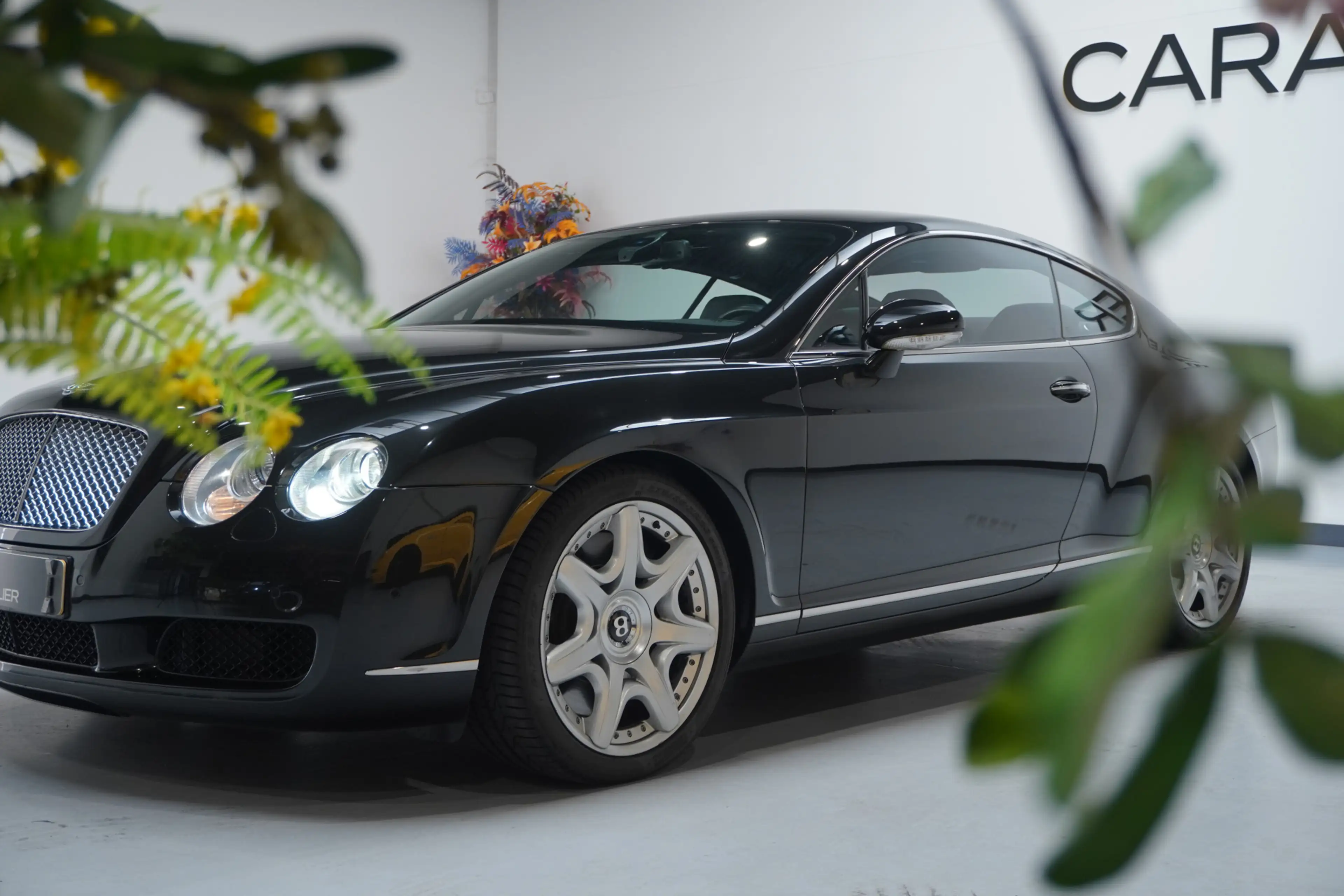 Bentley Continental GT 6.0 W12 — photo 17