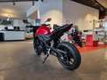 Honda CB 500 Hornet '' F'' 2024 alle Farben Roşu - thumbnail 5