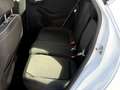 Ford Fiesta Titanium 1,1 Weiß - thumbnail 23