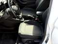 Ford Fiesta Titanium 1,1 Weiß - thumbnail 16