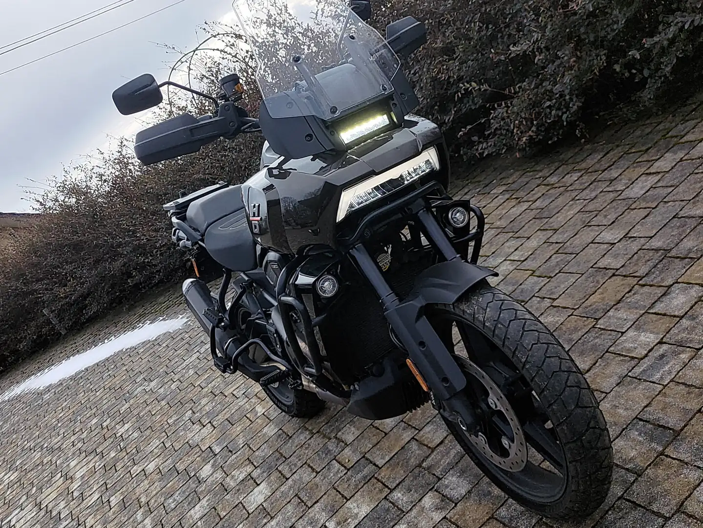 Harley-Davidson Pan America Standard Maro - 1