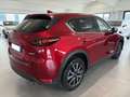 Mazda CX-5 2.2 Skyactiv-D 175 CV AWD Exclusive PELLE-TETTO Rot - thumbnail 5
