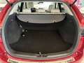 Mazda CX-5 2.2 Skyactiv-D 175 CV AWD Exclusive PELLE-TETTO Rot - thumbnail 7