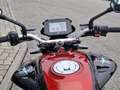 MV Agusta Brutale Brutale 800 RR - thumbnail 8