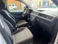 Volkswagen CADDY Bianco - thumbnail 12