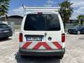 Volkswagen CADDY Bianco - thumbnail 6