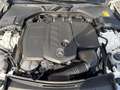 Mercedes-Benz C 220 d 4MATIC T-Modell All-Terrain LED PTS Navi Weiß - thumbnail 21