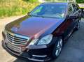 Mercedes-Benz E 500 E 500 T 4Matic BlueEFFICIENCY 7G-TRONIC Avantgarde Brun - thumbnail 5