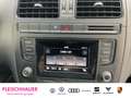 Volkswagen Polo 1.0 Klima  Multif.Lenkrad Funk Nero - thumbnail 12