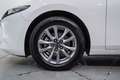 Mazda 3 2.5 e-Skyactiv-G Prime-line Aut. 103kW Blanc - thumbnail 11