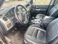 Land Rover Discovery V6 TD SE Motorschade Grijs - thumbnail 5