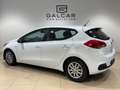 Kia Ceed / cee'd 1.4CRDi Concept Blanco - thumbnail 6