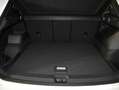 Volkswagen Tiguan 1.5 eTSI 150CV R-Line DSG Blanco - thumbnail 22