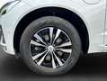 Volvo XC60 XC60 T6 AWD Recharge Geartronic Inscription Expres Weiß - thumbnail 7