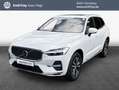 Volvo XC60 XC60 T6 AWD Recharge Geartronic Inscription Expres Weiß - thumbnail 1