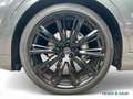 Audi Q8 50 TDI S Line/Matrix/Allradl./B&O/Pano/4xSHZ Grau - thumbnail 16