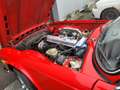 Triumph TR6 2.5   6 cylindres carburateur Rood - thumbnail 9