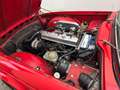 Triumph TR6 2.5   6 cylindres carburateur Rood - thumbnail 6