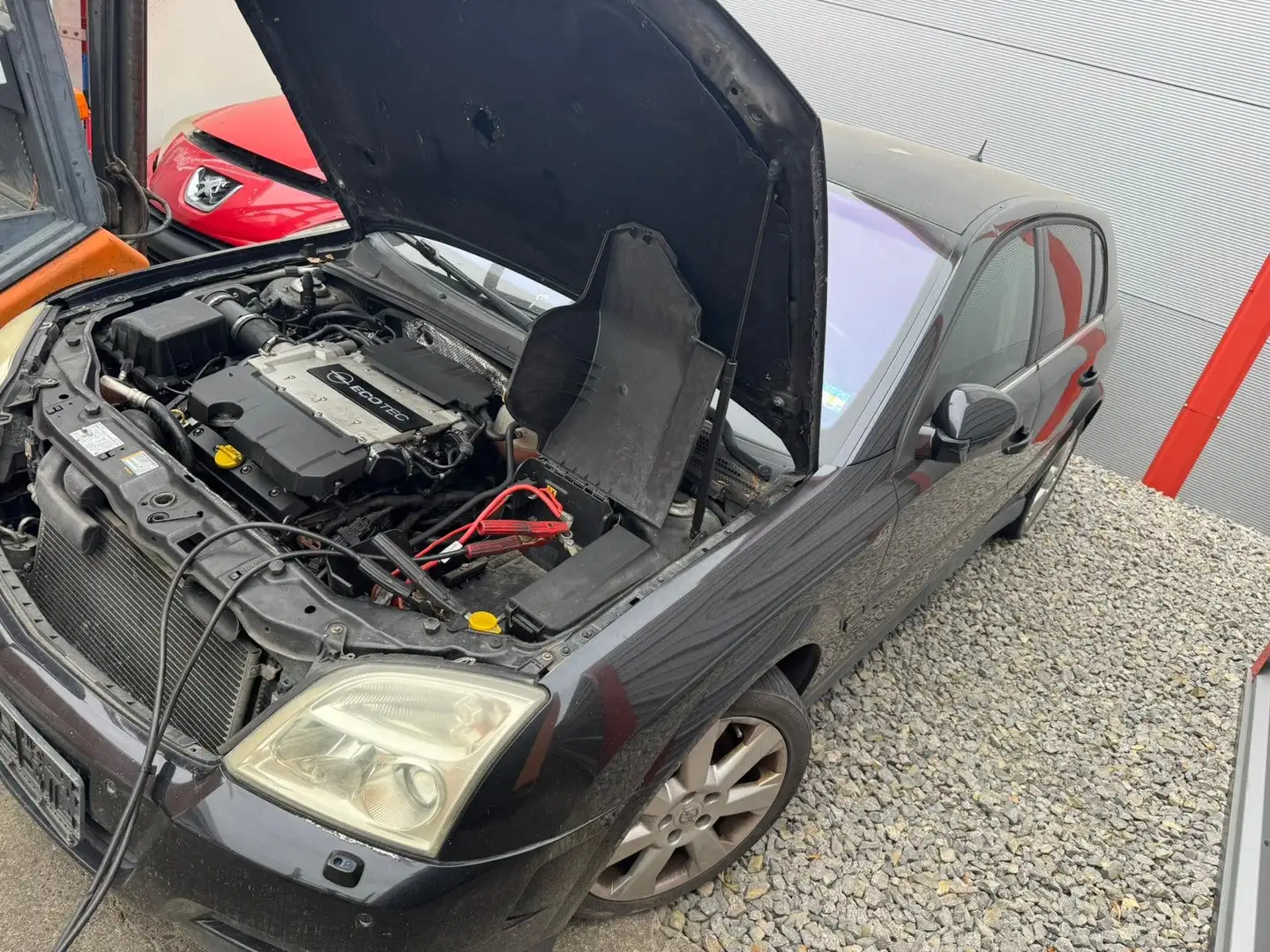 Opel Signum Cosmo Schwarz - 1