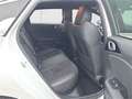 Kia ProCeed / pro_cee'd Blanc - thumbnail 11