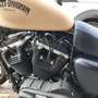 Harley-Davidson Iron 883 XL 883N Beige - thumbnail 9