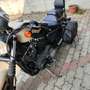Harley-Davidson Iron 883 XL 883N Beige - thumbnail 2