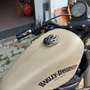 Harley-Davidson Iron 883 XL 883N Beige - thumbnail 6