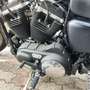 Harley-Davidson Iron 883 XL 883N Beige - thumbnail 5