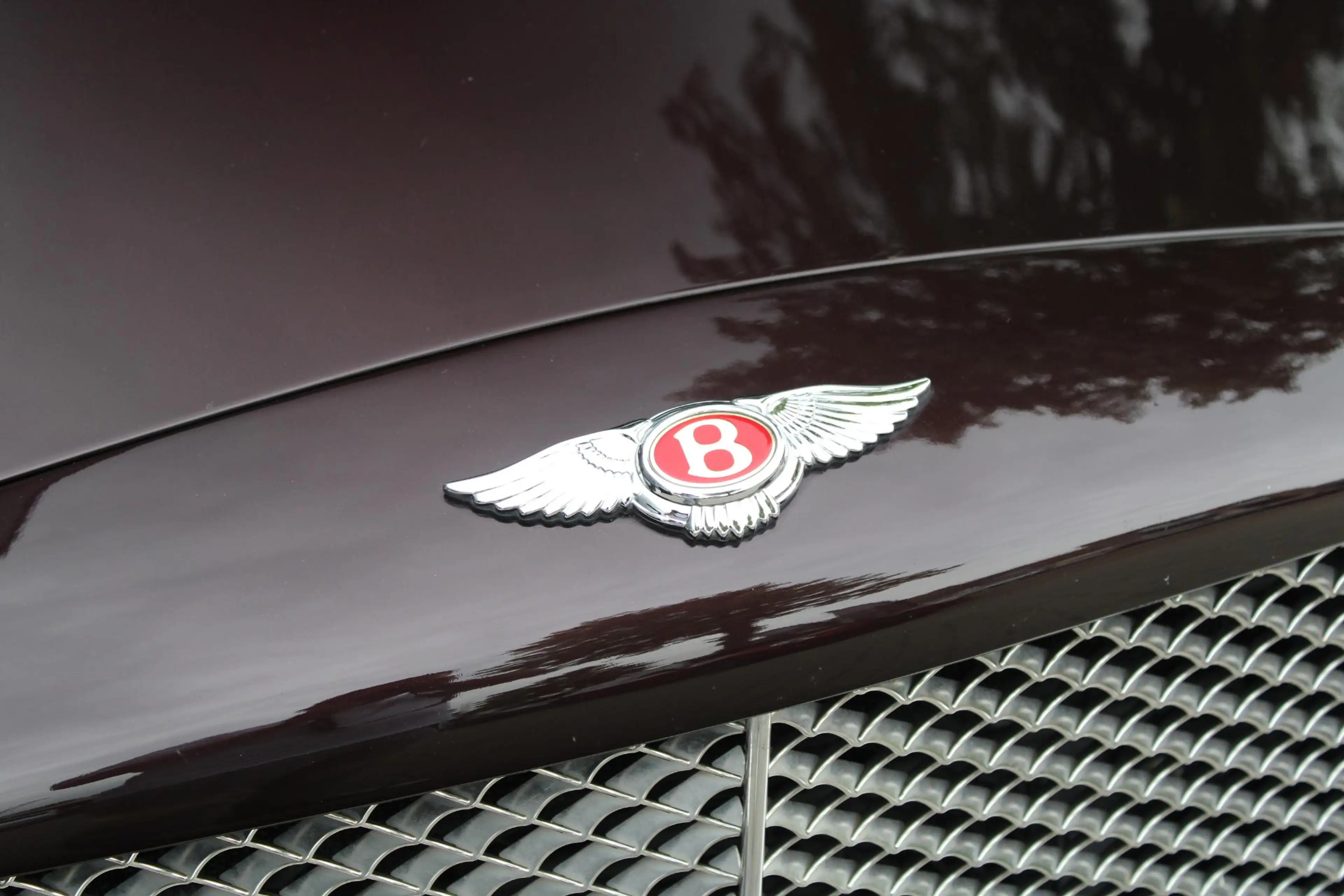 Bentley Arnage R 6.75-V8 | Two-Tone Interieur | Verw. & Verst. St — photo 40