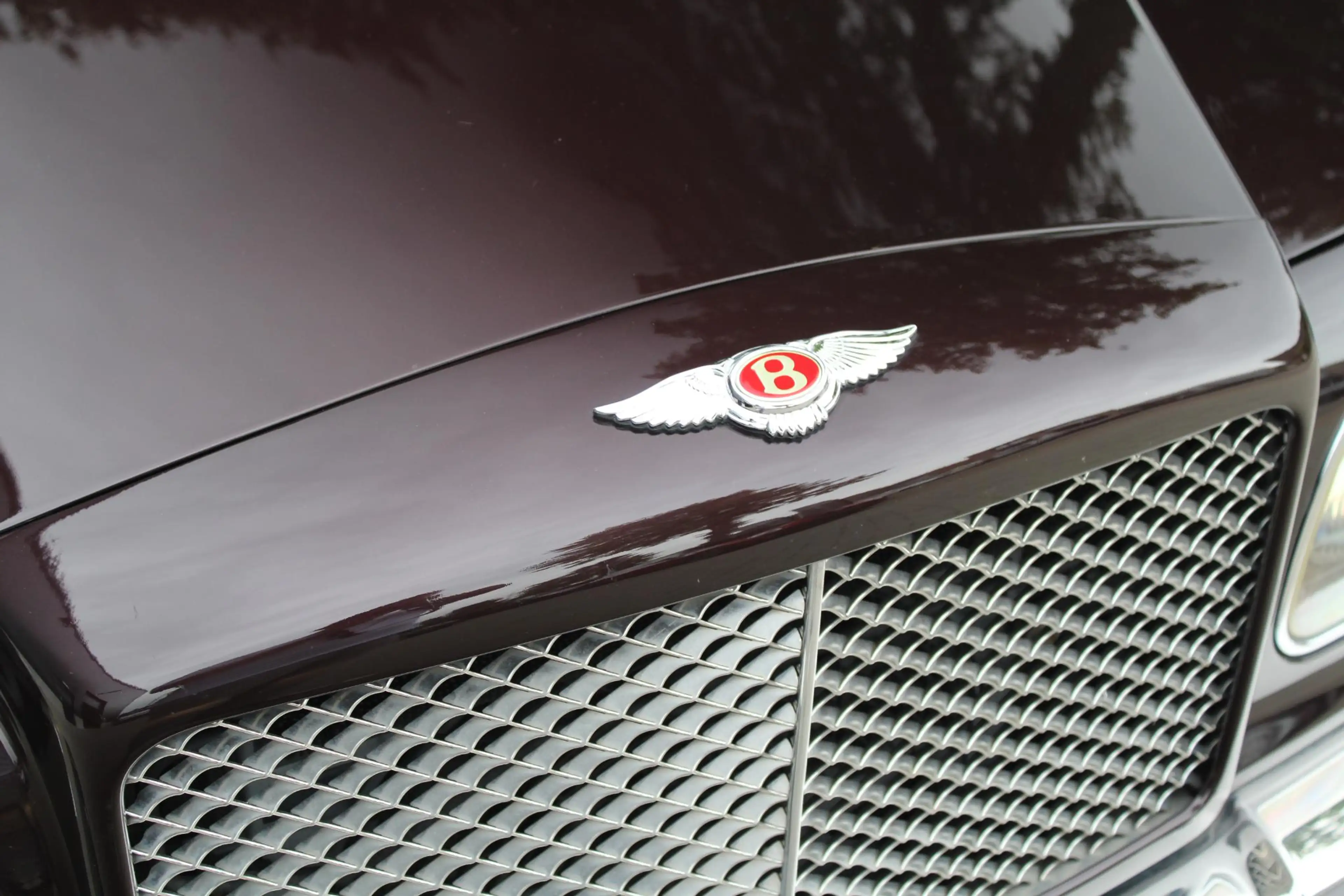 Bentley Arnage R 6.75-V8 | Two-Tone Interieur | Verw. & Verst. St — photo 28