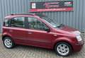 Fiat Panda 1.2 Emotion Automaat Clima.Cruise.Lm.velgen.Pano.A Rot - thumbnail 3