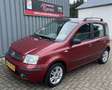 Fiat Panda 1.2 Emotion Automaat Clima.Cruise.Lm.velgen.Pano.A Rot - thumbnail 2