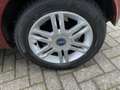 Fiat Panda 1.2 Emotion Automaat Clima.Cruise.Lm.velgen.Pano.A Rot - thumbnail 12
