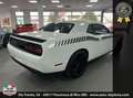 Dodge Challenger 6.4 V8  automatica full **blocco prezzo** Bianco - thumbnail 4