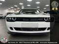 Dodge Challenger 6.4 V8  automatica full **blocco prezzo** Bianco - thumbnail 1