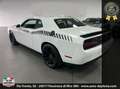 Dodge Challenger 6.4 V8  automatica full **blocco prezzo** Bianco - thumbnail 5