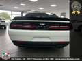 Dodge Challenger 6.4 V8  automatica full **blocco prezzo** Bianco - thumbnail 6