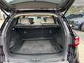 Renault Koleos dCi 175 4WD Initiale X-Tronic Aut. Initiale Schwarz - thumbnail 16